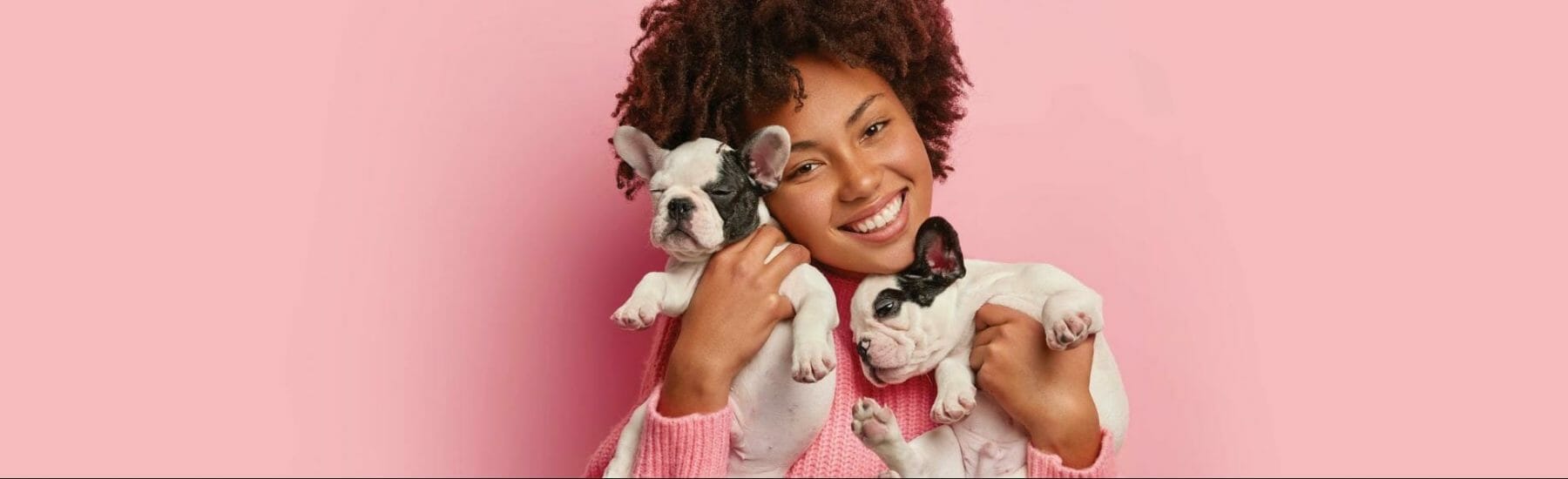 Women holding two pugs with a pink background